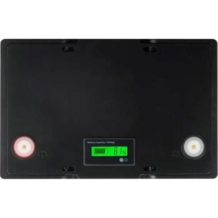 Акумулятор JSDS LiFePO4 12V/100AH (1280W*h), 12100LED, (260х170х215) мм, з Bluetooth