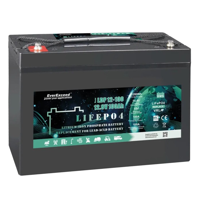 Акумулятор EverExceed LiFePO4 12V/100AH (1280W*h) (літій-залізо-фосфатний акумулятор для ДБЖ (UPS))