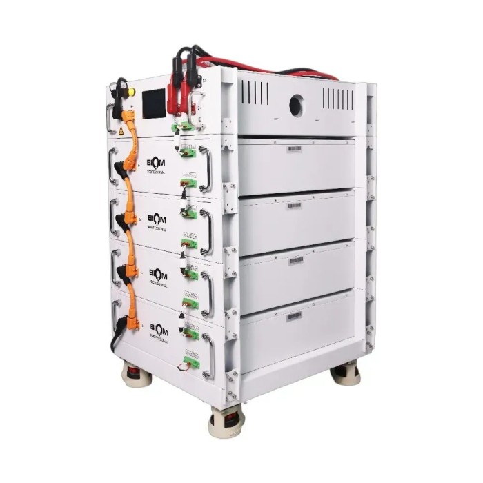 Блок акумуляторів BIOM PROFESSIONAL BAHV-100512-LFP 20,48 кВт·год 204V 100Ah LiFePO4 (HV, високовольтний модуль)