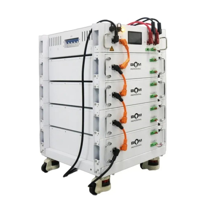 Блок акумуляторів BIOM PROFESSIONAL BAHV-100512-LFP 20,48 кВт·год 204V 100Ah LiFePO4 (HV, високовольтний модуль)