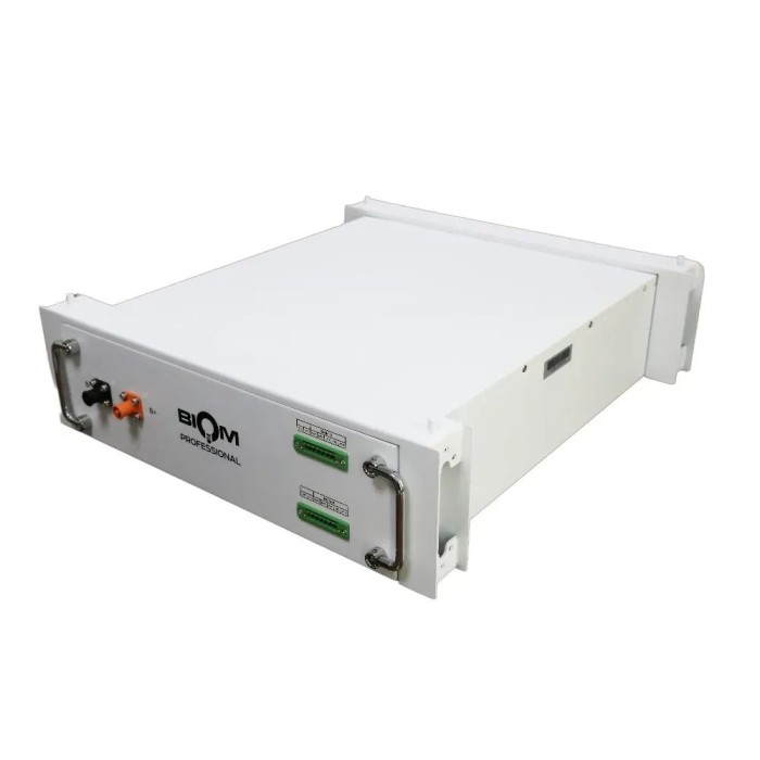Блок акумуляторів BIOM PROFESSIONAL BAHV-100512-LFP 20,48 кВт·год 204V 100Ah LiFePO4 (HV, високовольтний модуль)