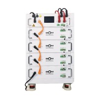 Блок акумуляторів BIOM PROFESSIONAL BAHV-100512-LFP 20,48 кВт·год 204V 100Ah LiFePO4 (HV, високовольтний модуль)