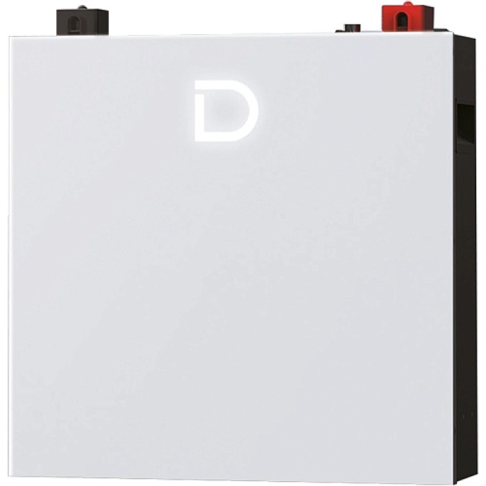 Акумулятор DYNESS 51.2V 100Ah, DL5.0C Pro 5.12kWh LiFePo4 (літій-залізо-фосфатний)