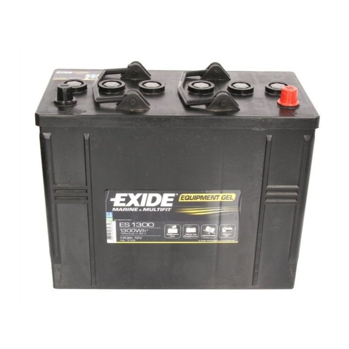 Акумулятор гелевий 12V 120Ah Exide Equipment Gel ES1300 для прибиральних машин Karcher