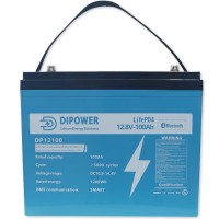 Акумулятор Dipower LiFePO4 12V/100AH (1280W*h) (літій-залізо-фосфатний акумулятор для ДБЖ (UPS))