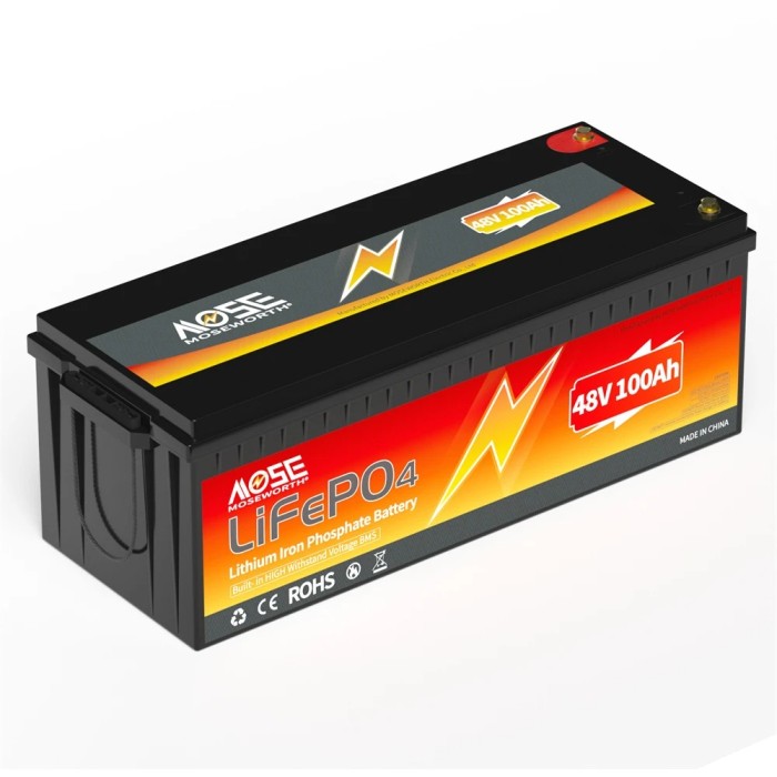Акумулятор MOSEWORTH LiFePO4 48V/100AH (4800W*h) (літій-залізо-фосфатний акумулятор для ДБЖ (UPS))