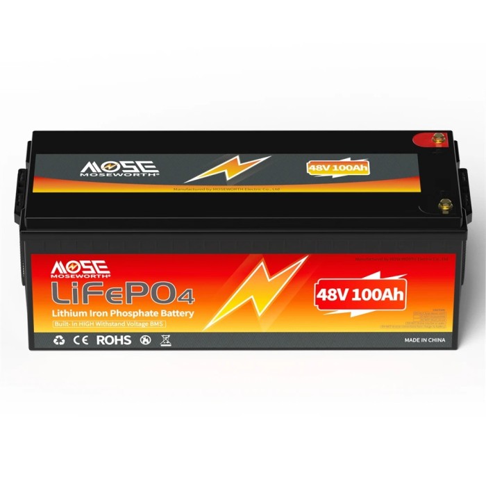 Акумулятор MOSEWORTH LiFePO4 48V/100AH (4800W*h) (літій-залізо-фосфатний акумулятор для ДБЖ (UPS))