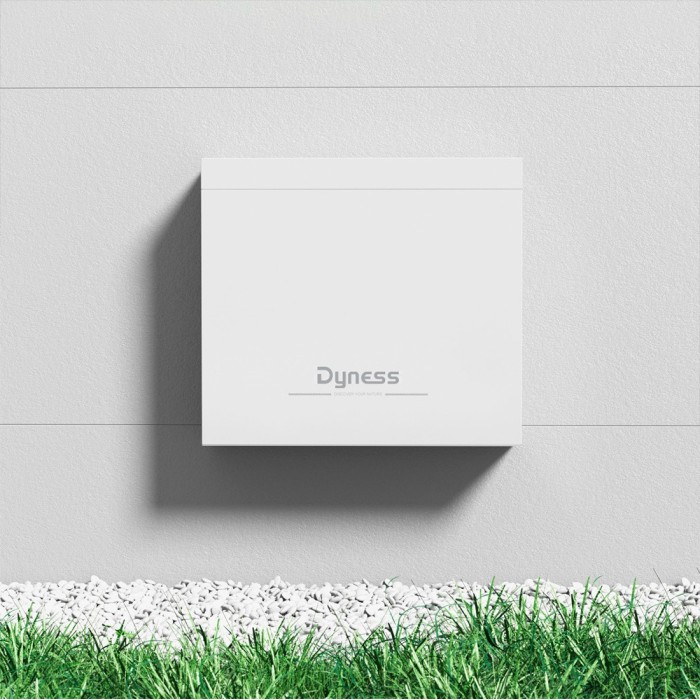 Акумулятор DYNESS 2xB4850-box LiFePO4 48V/100AH (4800W*h) (літій-залізо-фосфатний акумулятор для ДБЖ (UPS))