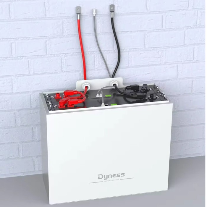 Акумулятор DYNESS 2xB4850-box LiFePO4 48V/100AH (4800W*h) (літій-залізо-фосфатний акумулятор для ДБЖ (UPS))
