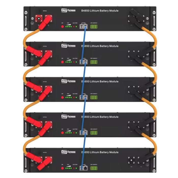 Акумулятор DYNESS 2xB4850-box LiFePO4 48V/100AH (4800W*h) (літій-залізо-фосфатний акумулятор для ДБЖ (UPS))