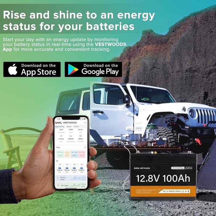 Акумулятор VESTWOODS LiFePO4 12V/100AH, 1280W*h, 100A, Smart BMS, Bluetooth APP (літій-залізо-фосфатний акумулятор для ДБЖ (UPS))