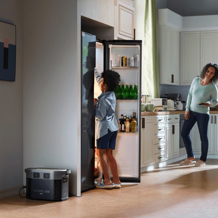 Зарядна станція EcoFlow Delta 2 Max, 2400 Вт, 2048 Вт*год (електростанція для дому, UPS, ДБЖ) CN
